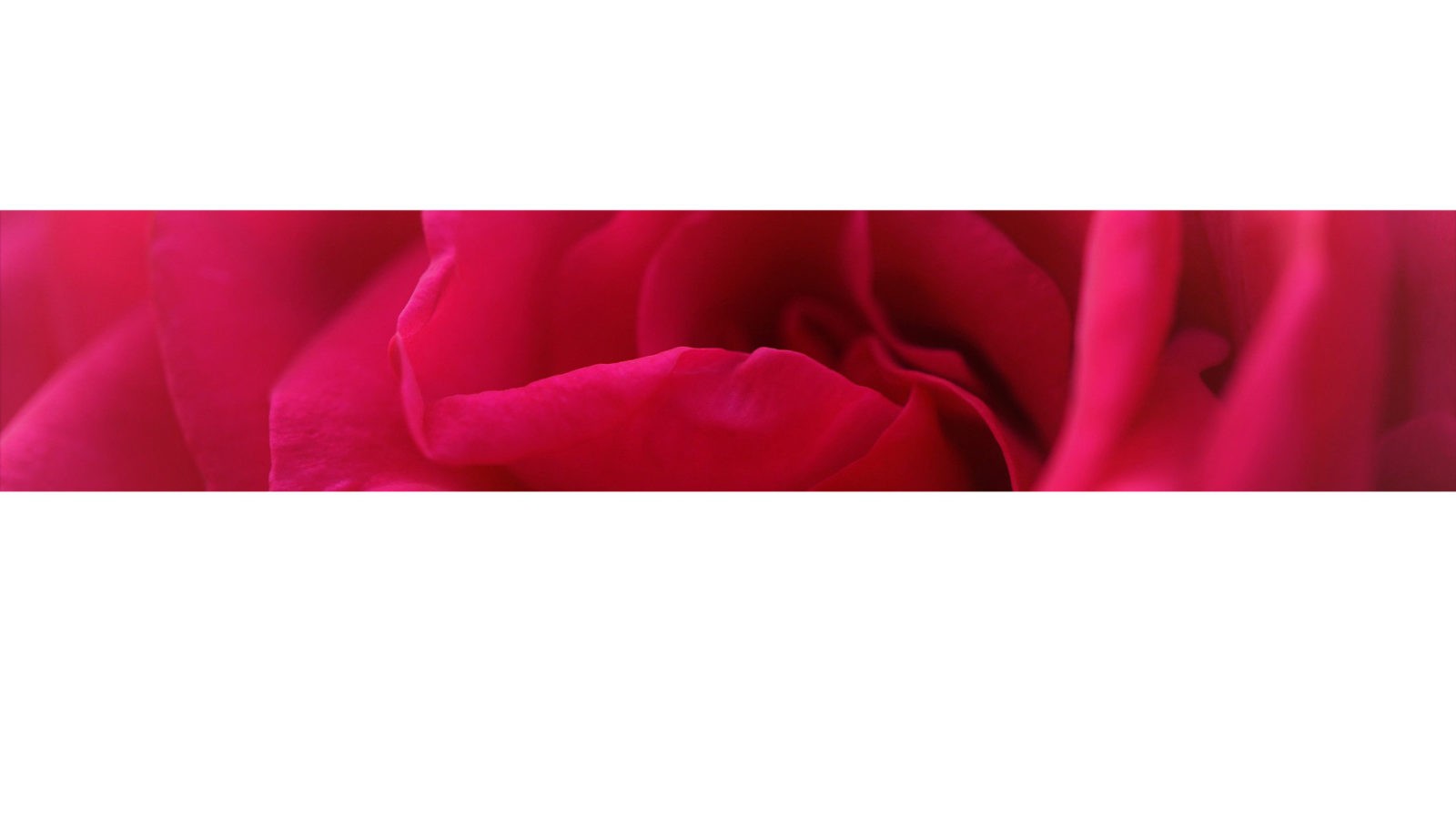 Das Göttlich Weibliche Prinzip