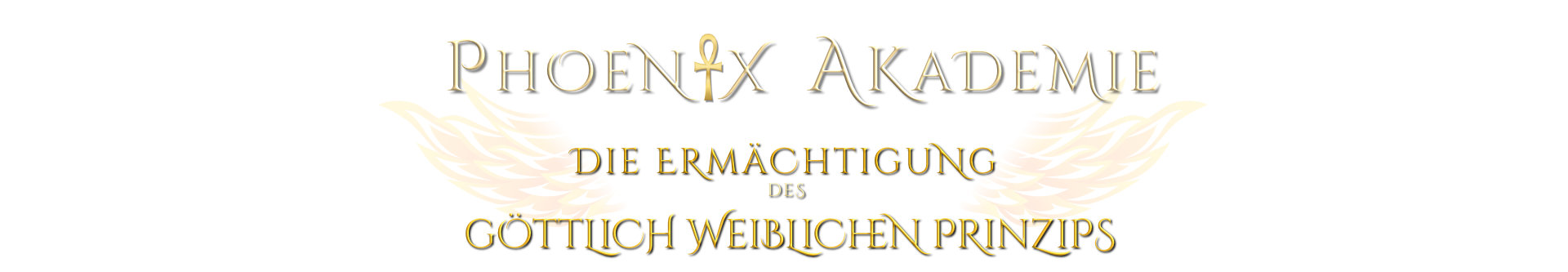 Phoenix Akademie