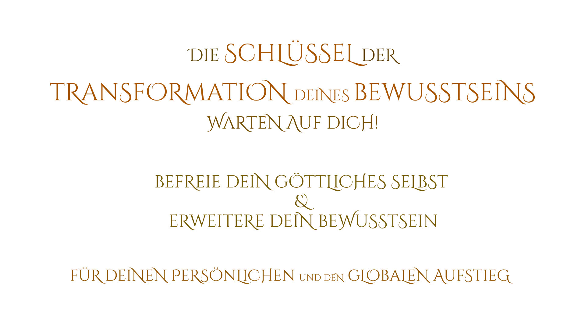 Seminar Bewusstsein